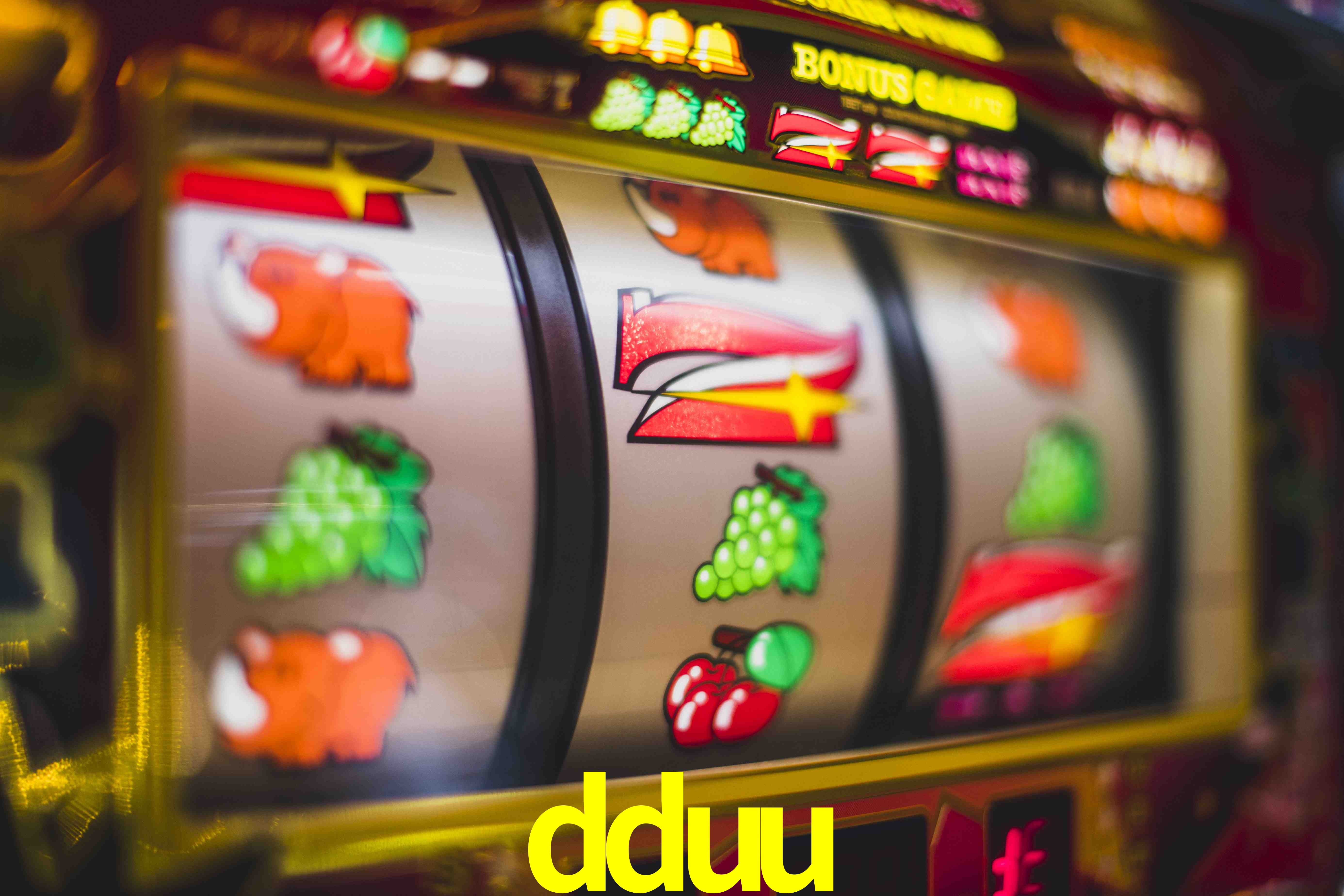 Sports Statistics dduu